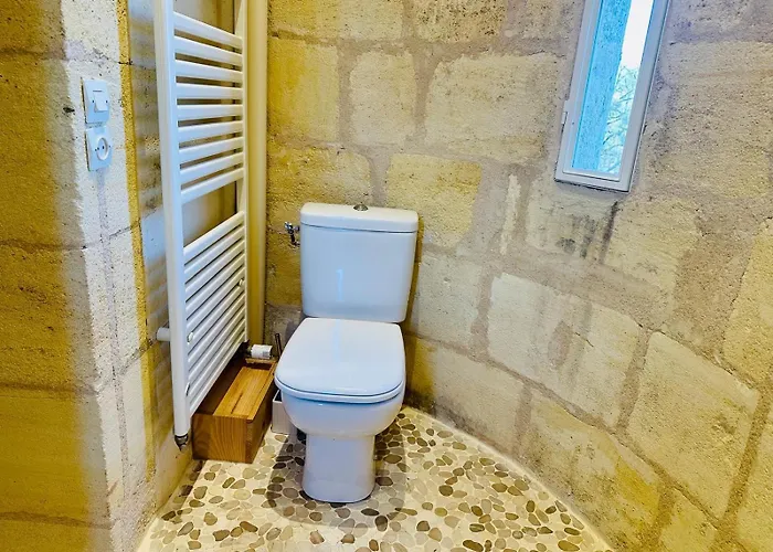 乡村民宿 Vivez La Vie De Chateau Aux Portes De Bordeaux