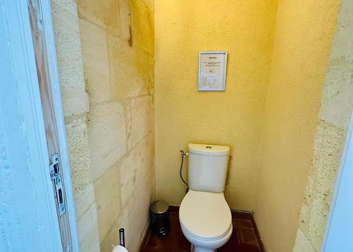 乡村民宿 Vivez La Vie De Chateau Aux Portes De Bordeaux