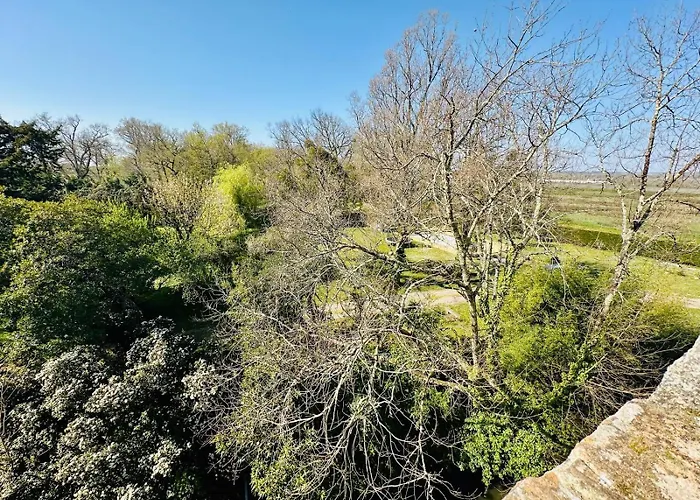 乡村民宿 Vivez La Vie De Chateau Aux Portes De Bordeaux *